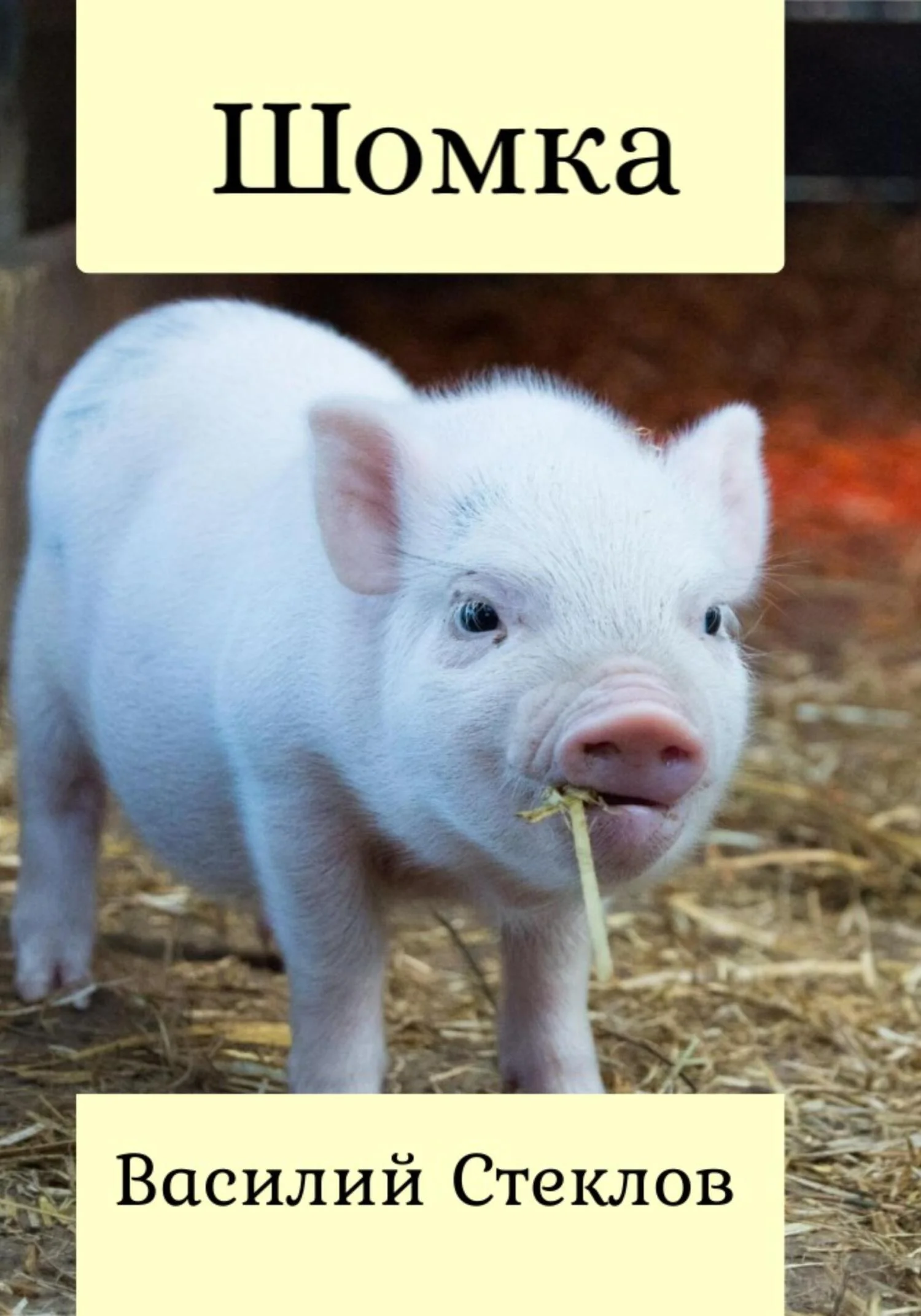 Обложка Шомка