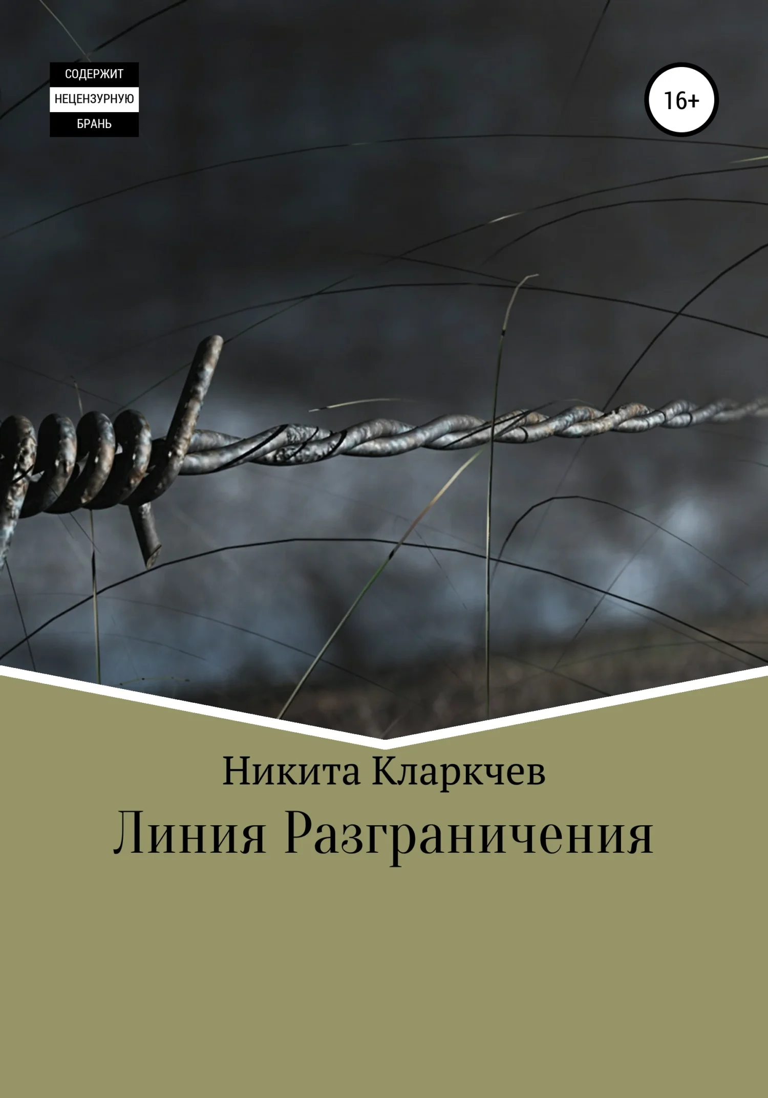 Обложка Линия разграничения