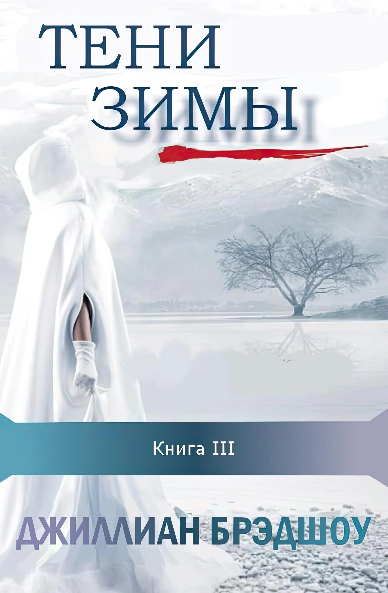 Обложка Тени зимы