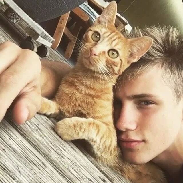 Обложка Эскорт