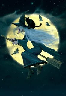 Обложка Маленькая радость ведьмы