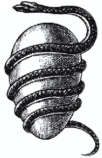 Обложка Книга Великой Нави: Хаософия и Русское Навославие