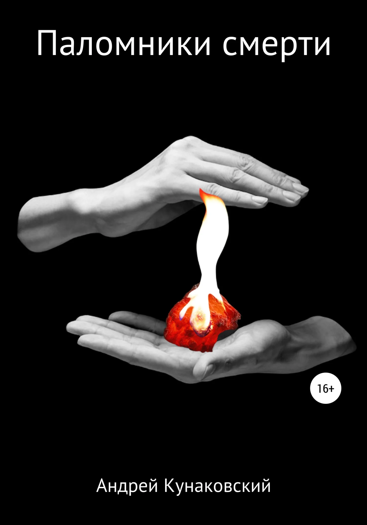 Обложка Паломники смерти