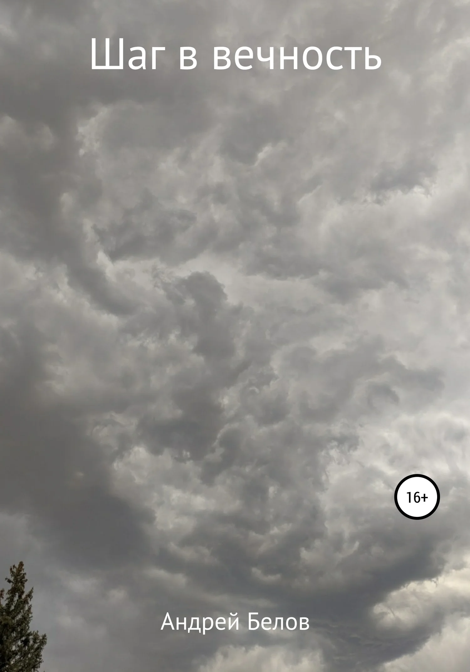 Обложка Шаг в вечность