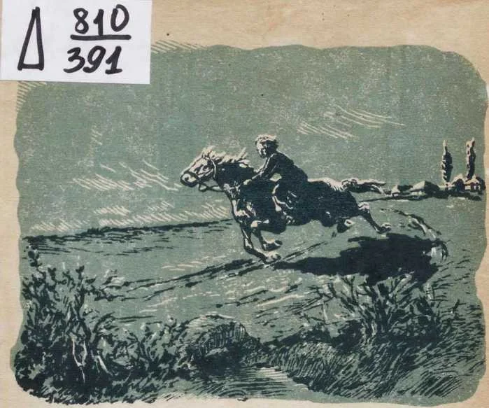 Обложка Девушка с хутора