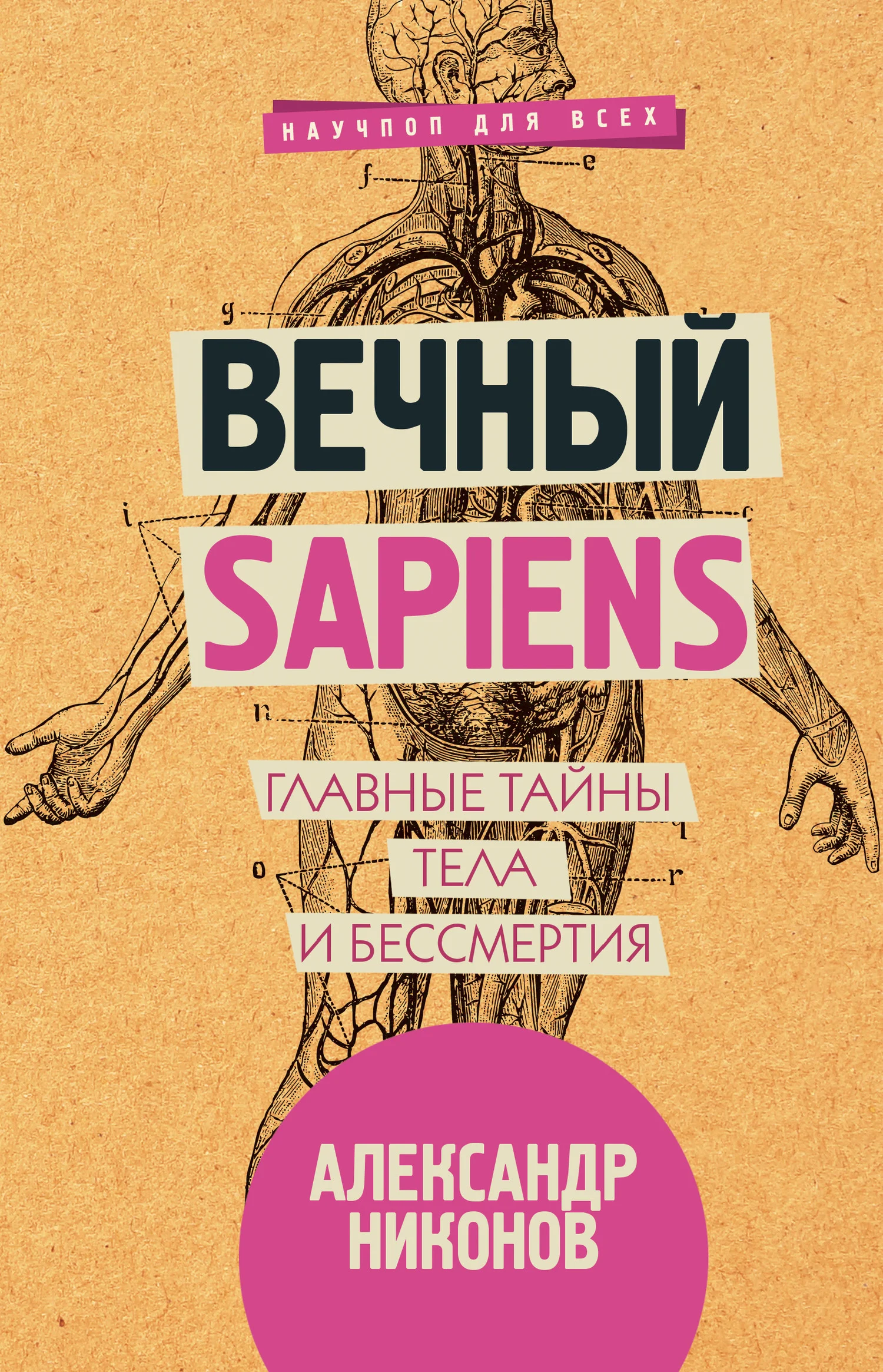 Обложка Вечный sapiens