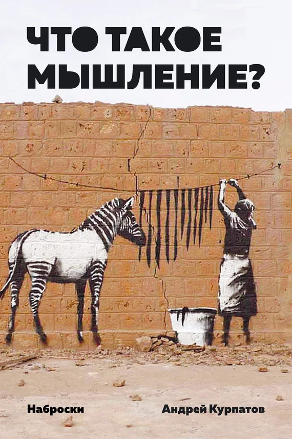 Обложка Что такое мышление?
