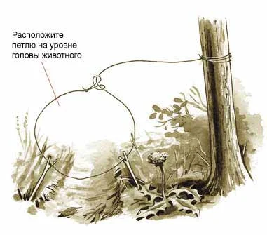 Обложка Капканы из подручных материалов в лесу
