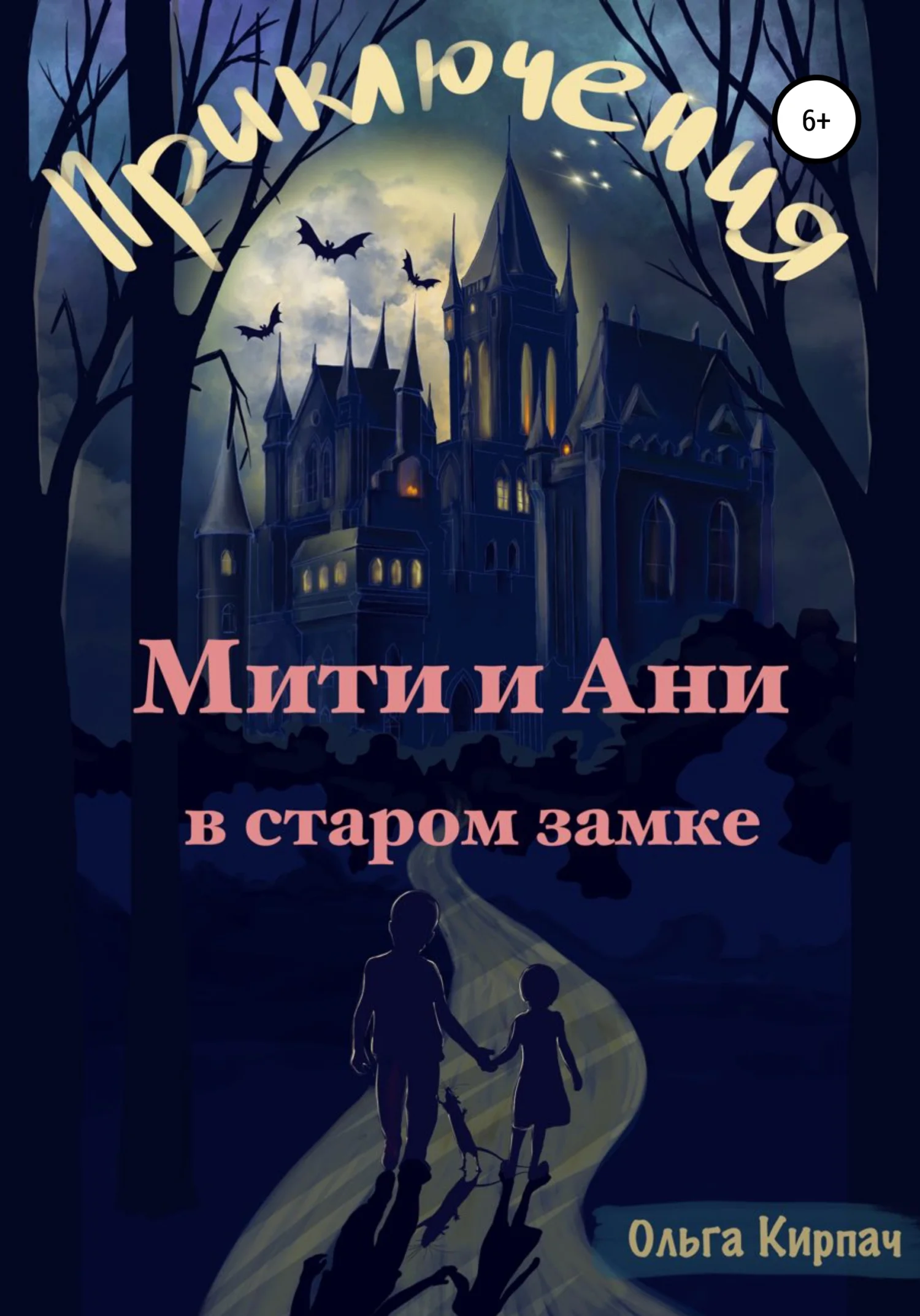 Обложка Приключения Мити и Ани в старом замке