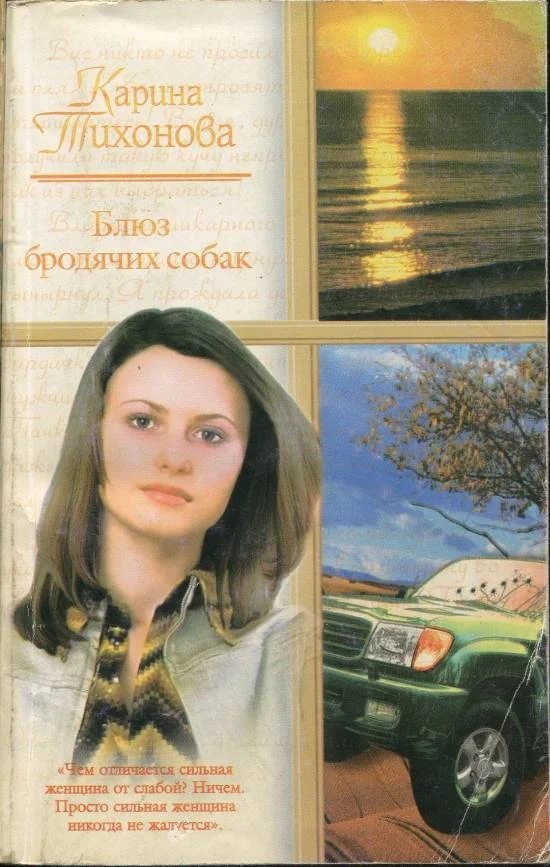Обложка Блюз бродячих собак