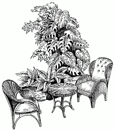 Обложка Зимний сад и витражи