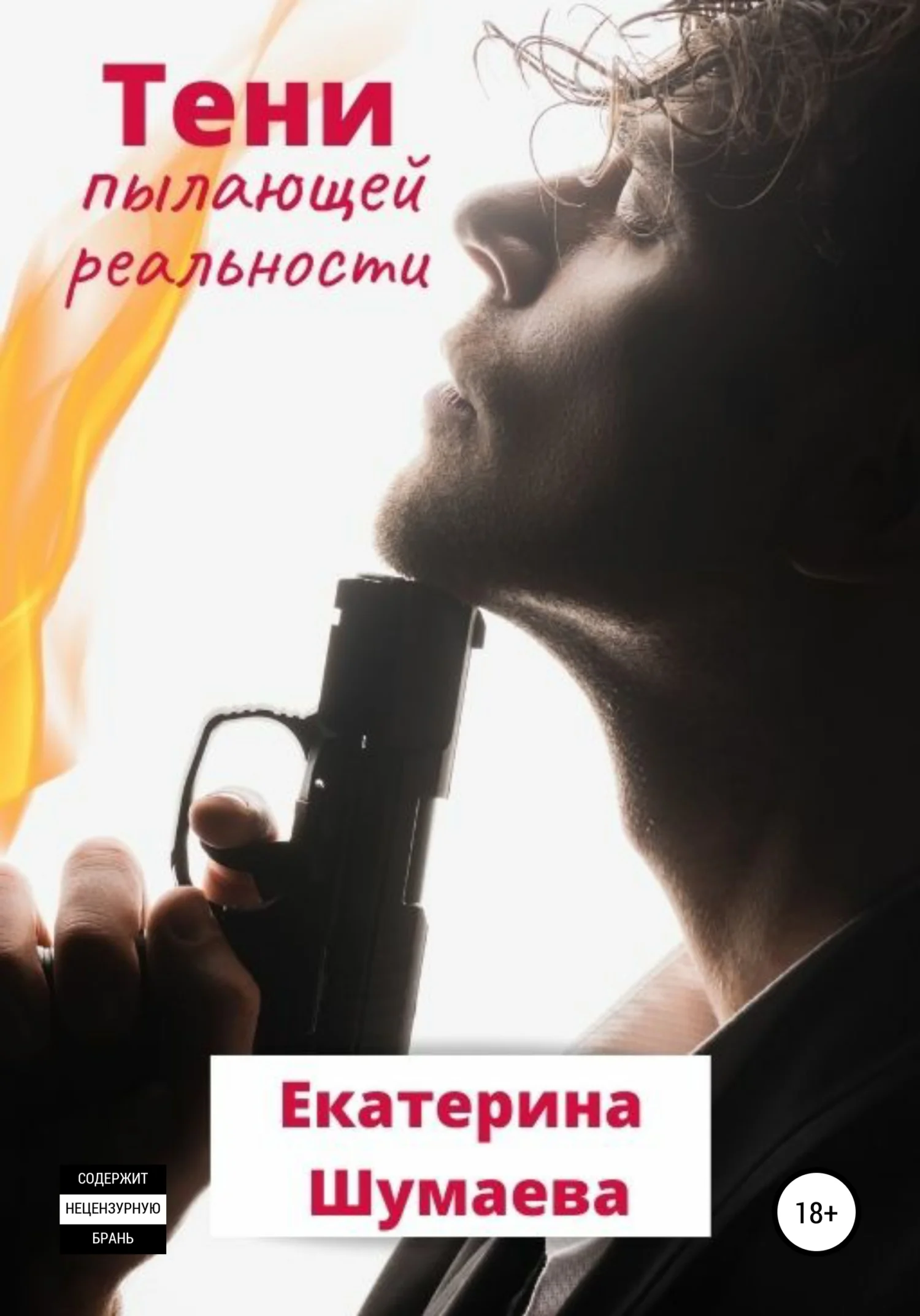Обложка Тени пылающей реальности