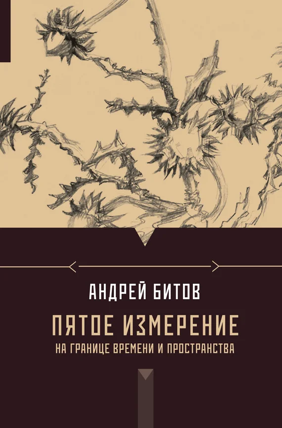 Обложка Пятое измерение. На границе времени и пространства