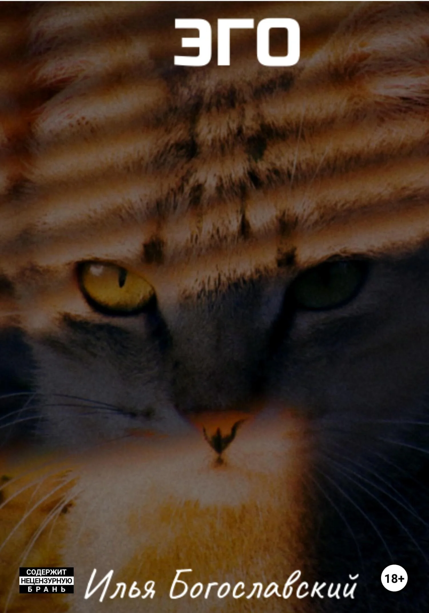 Обложка Эго