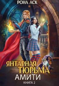 Обложка Янтарная тюрьма Амити