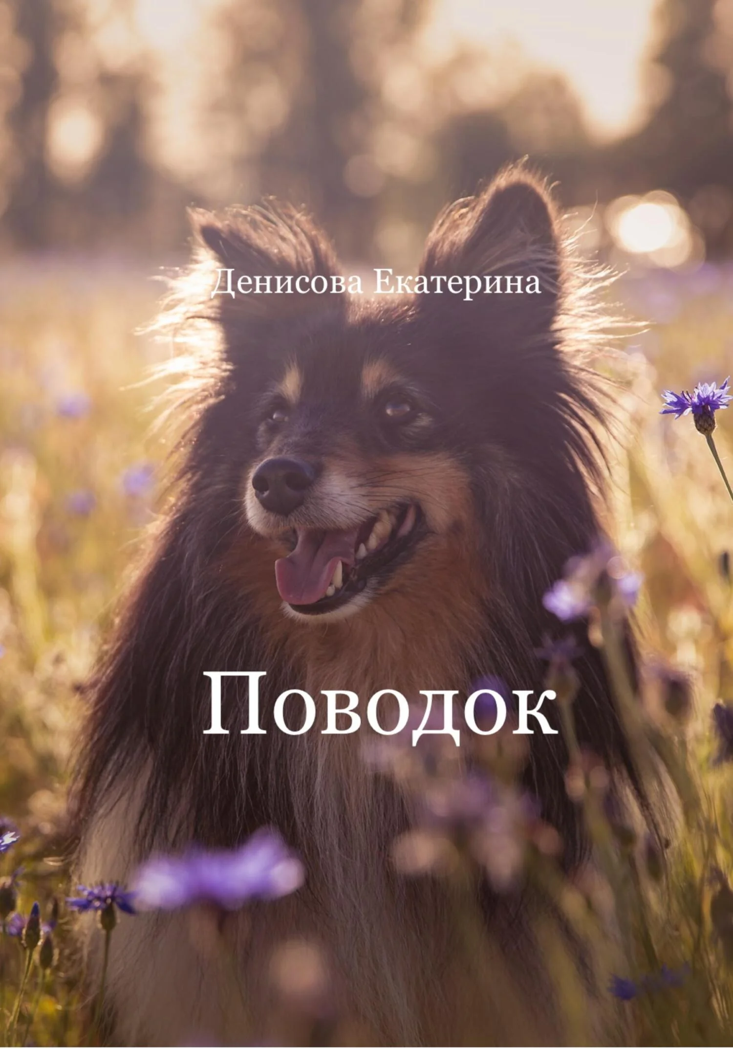 Обложка Поводок