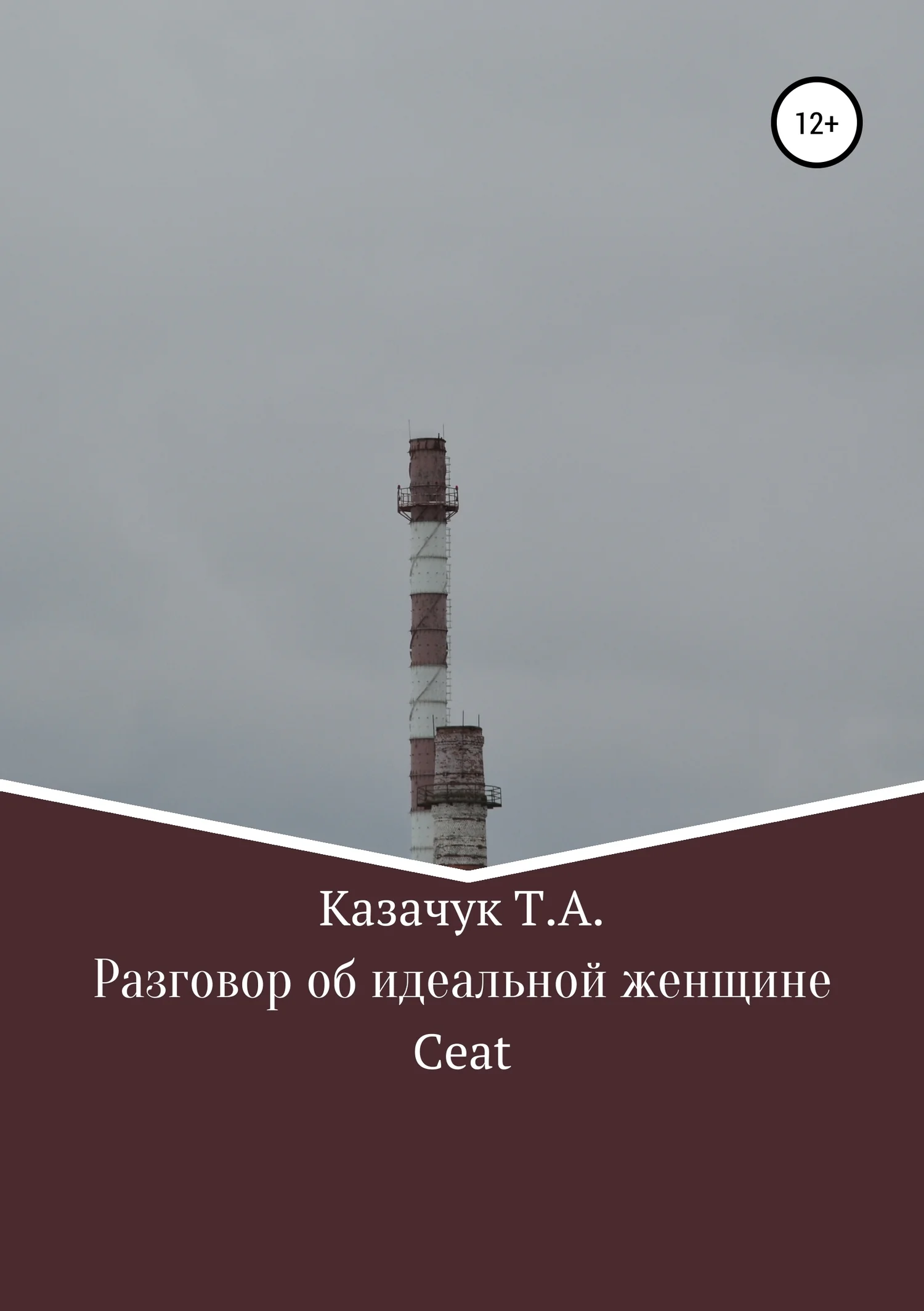 Обложка Разговор об идеальной женщине