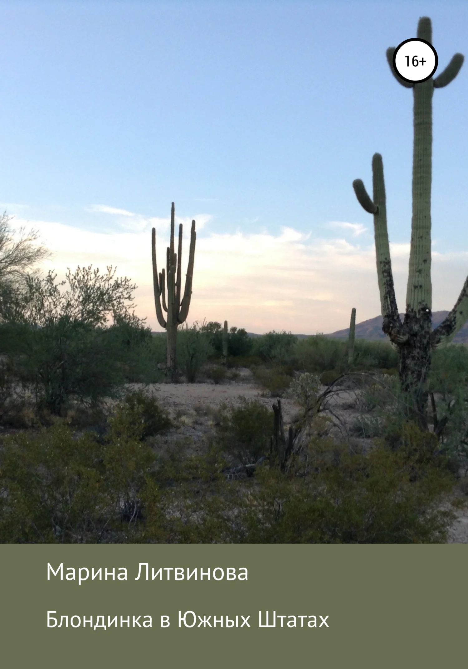 Обложка Блондинка в Южных Штатах