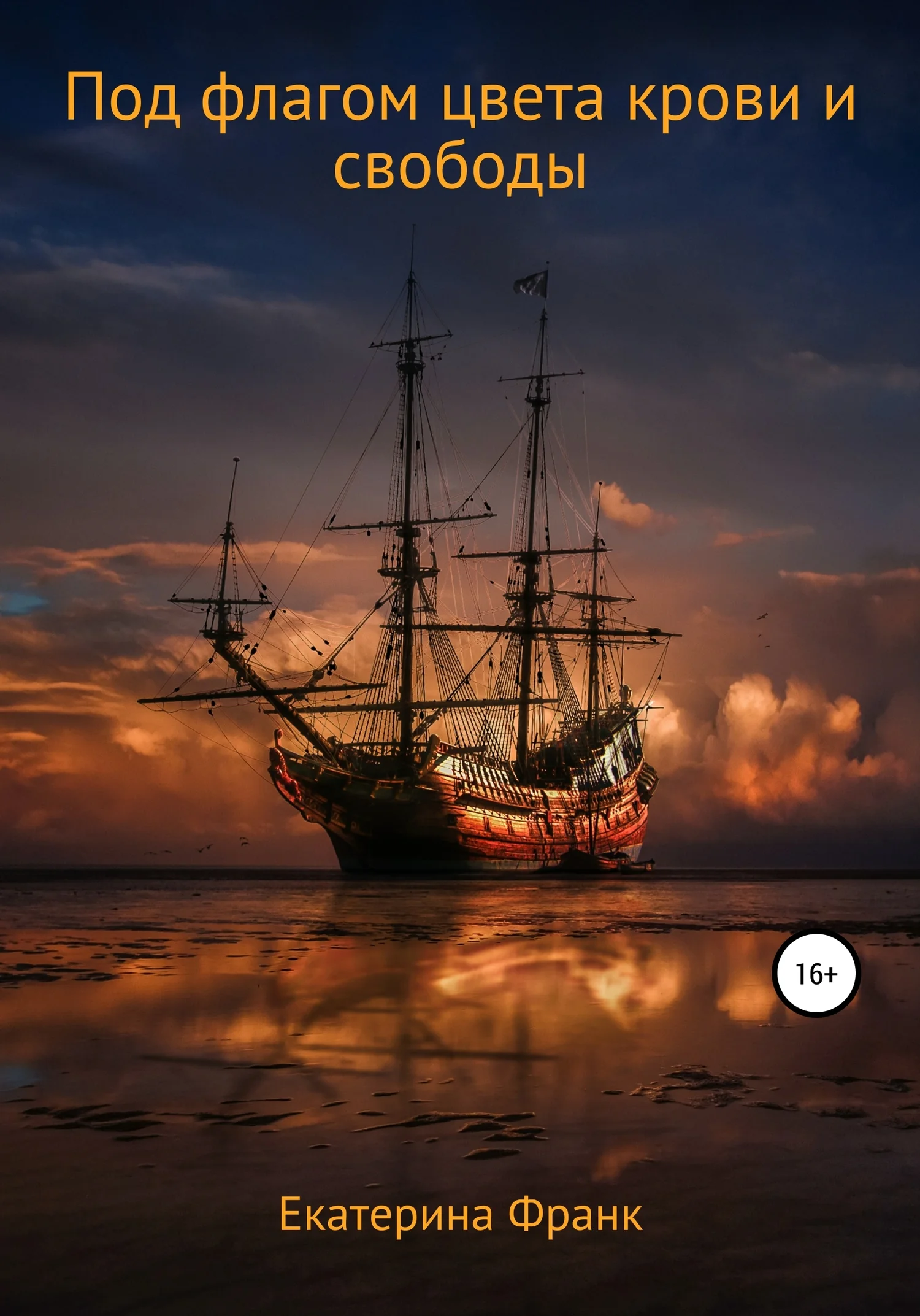 Обложка Под флагом цвета крови и свободы