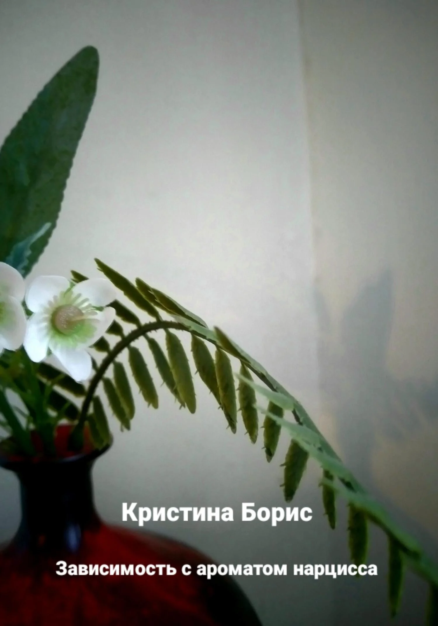 Обложка Зависимость с ароматом нарцисса