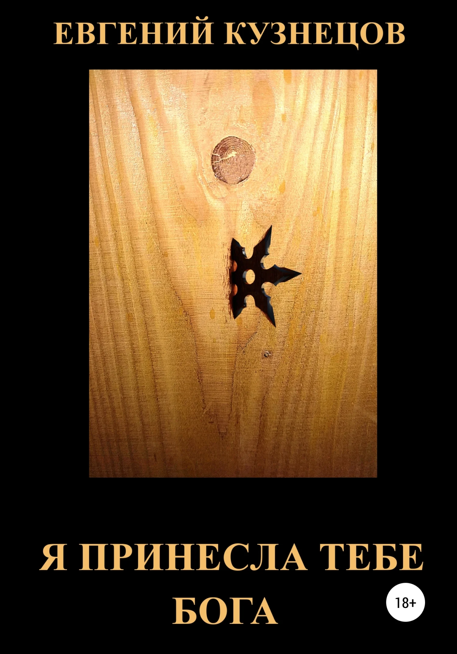 Обложка Я принесла тебе Бога