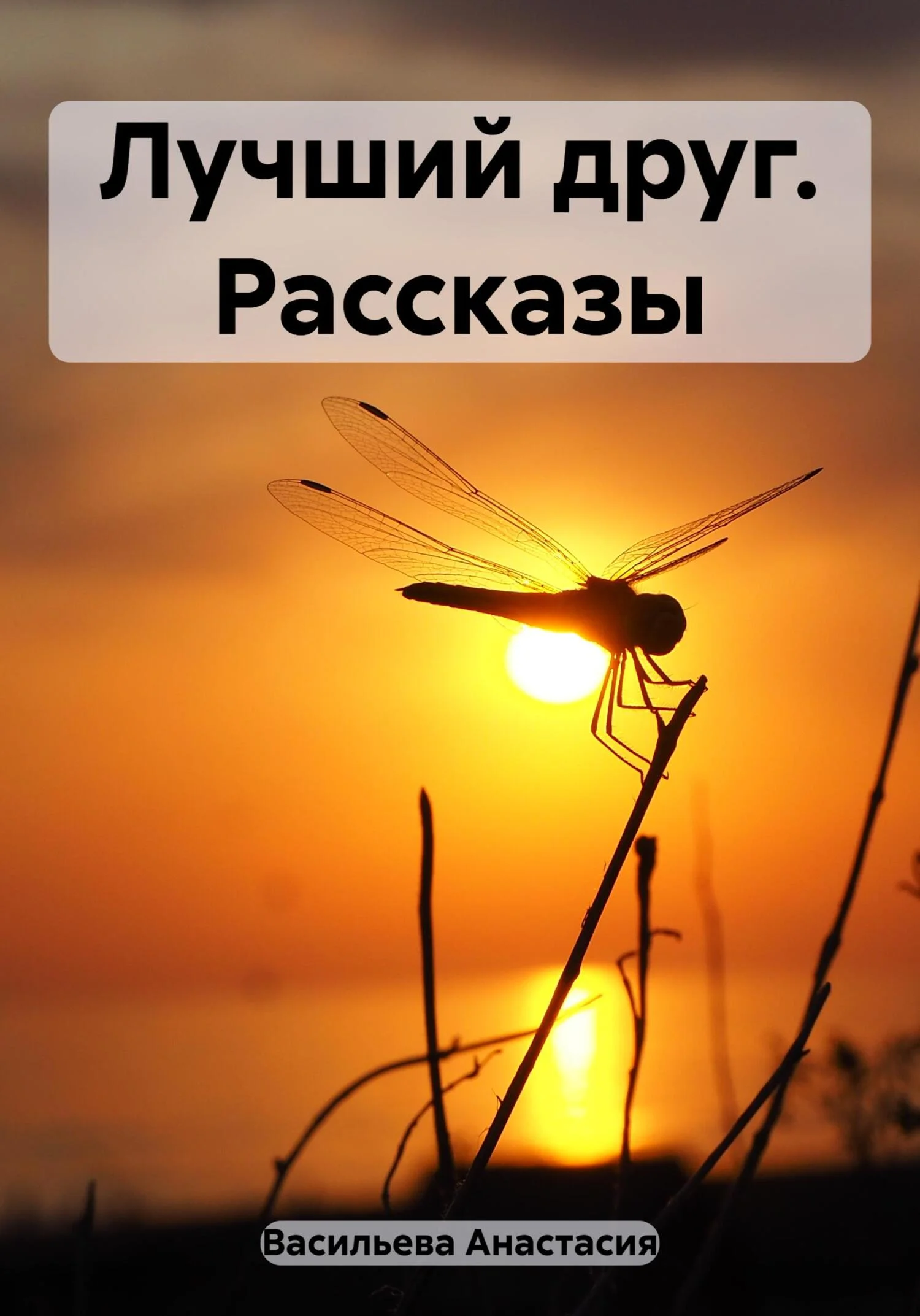 Обложка Лучший друг. Рассказы