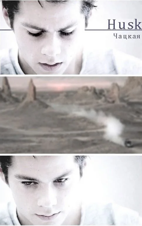 Обложка Шелуха/Husk