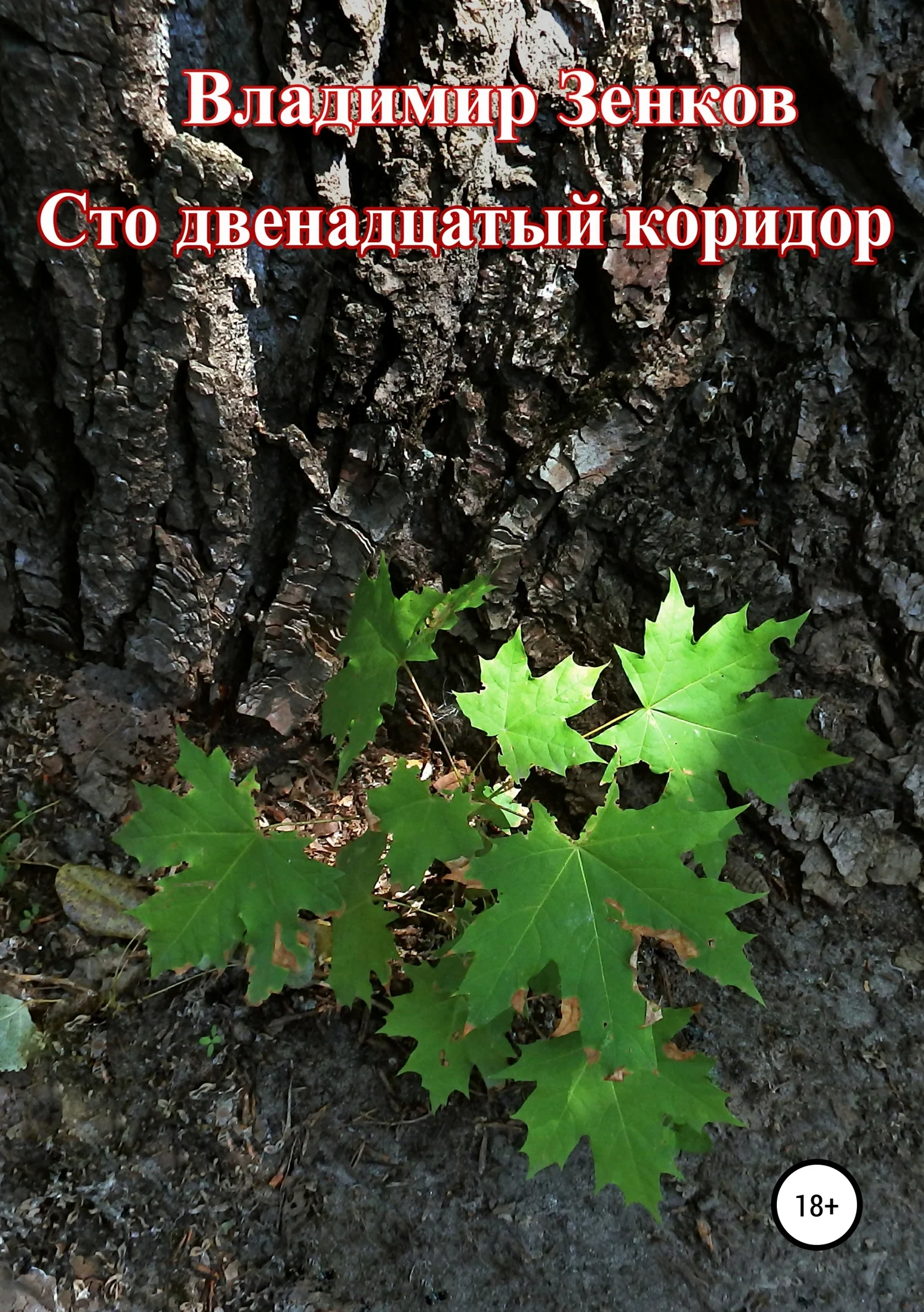 Обложка Сто двенадцатый коридор