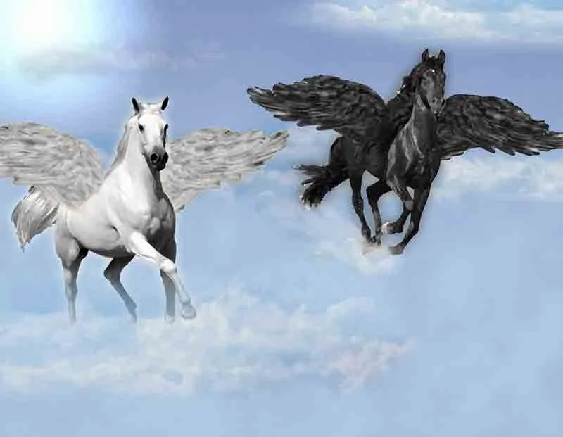 Обложка Истории Софии