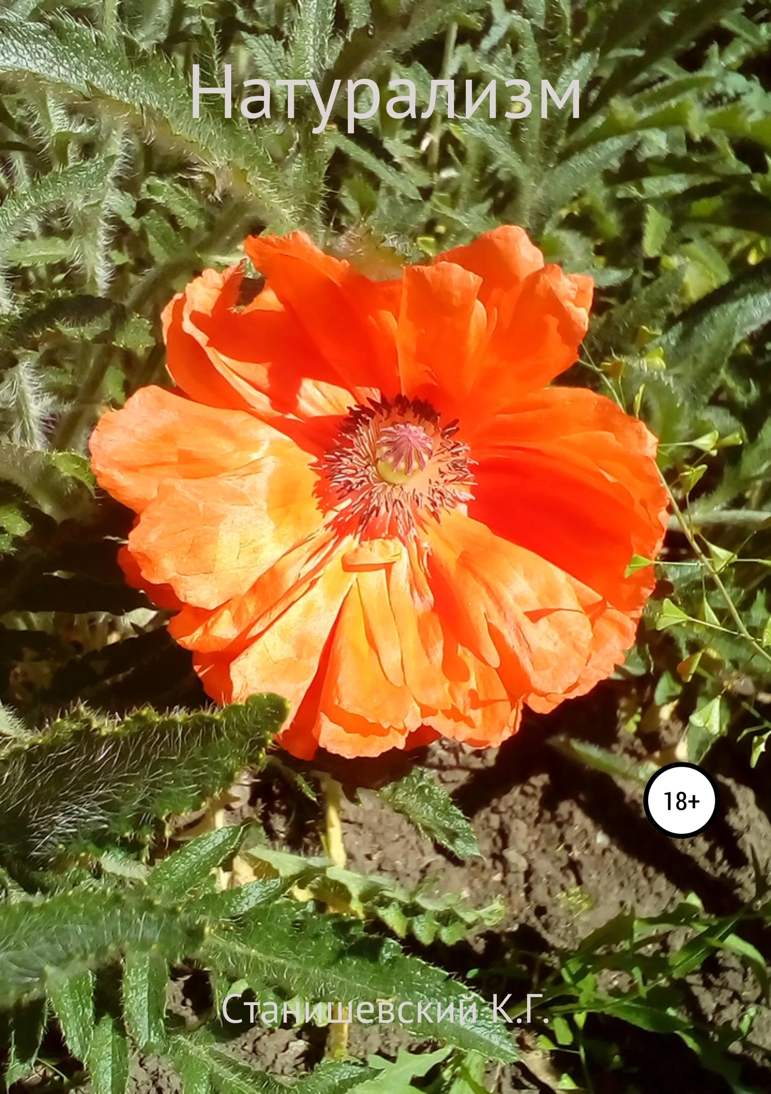 Обложка Натурализм