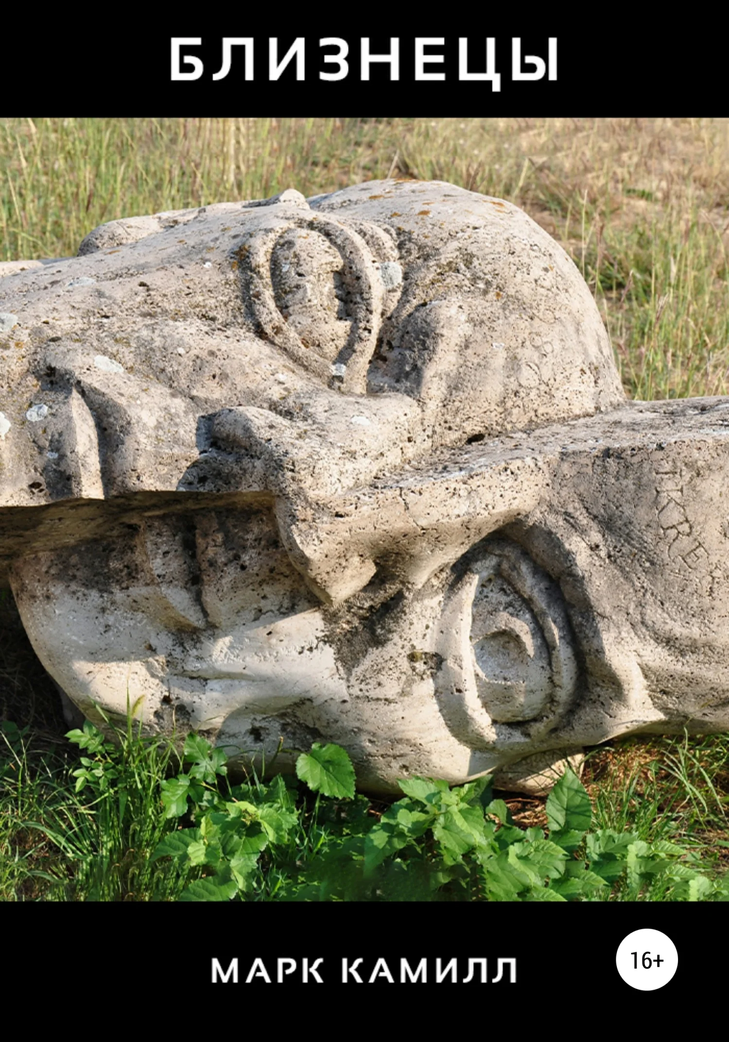 Обложка Близнецы