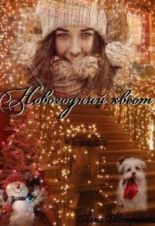 Обложка Новогодний квест (СИ)