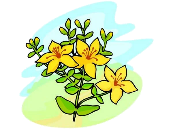 Обложка Зверушки в нашем саду