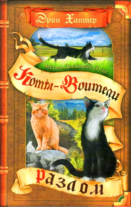 Обложка Месть Звёздного Луча. Разлом