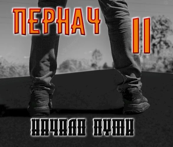 Обложка Пернач II. Начало пути