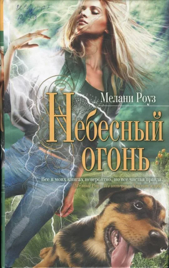 Обложка Небесный огонь