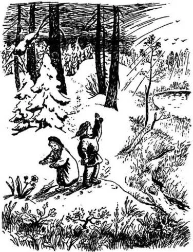Обложка Две сосны