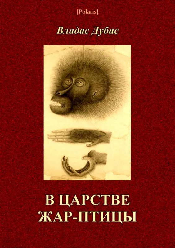 Обложка В царстве жар-птицы