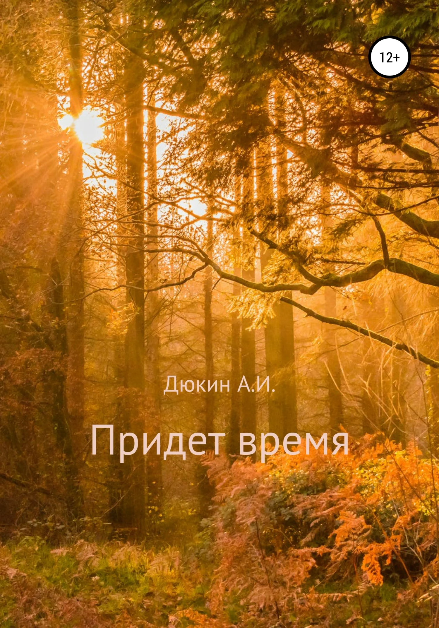 Обложка Придет время