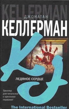Обложка Ледяное сердце