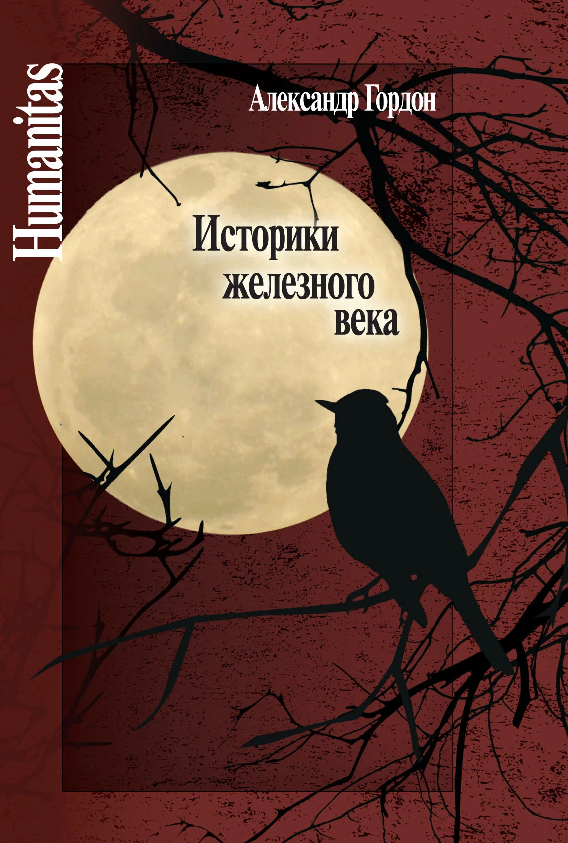 Обложка Историки железного века