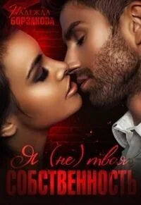 Обложка Я (не)твоя собственность