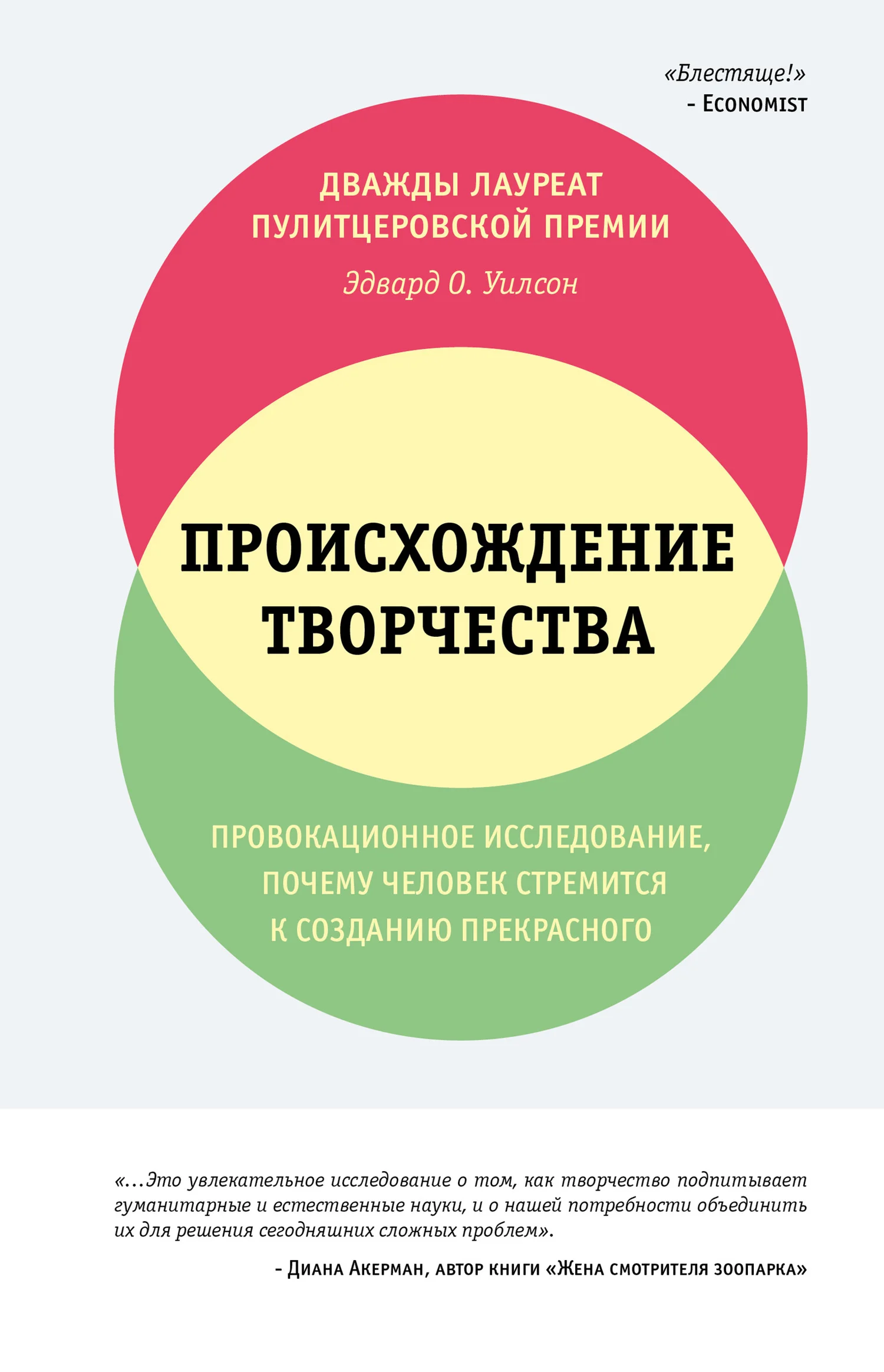 Обложка Происхождение творчества. Провокационное исследование: почему человек стремится к созданию прекрасного