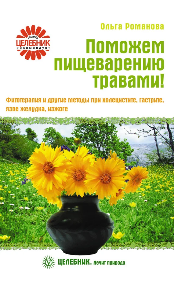 Обложка Поможем пищеварению травами! Фитотерапия и другие методы при холецистите, гастрите, язве желудка, изжоге