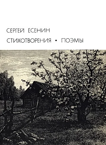 Обложка Стихотворения. Поэмы