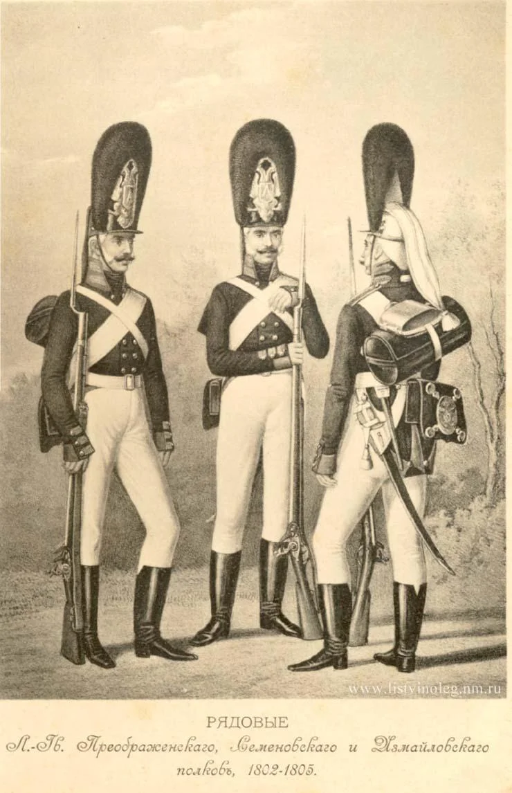 Обложка Историческое описание одежды и вооружения российских войск. Том 14