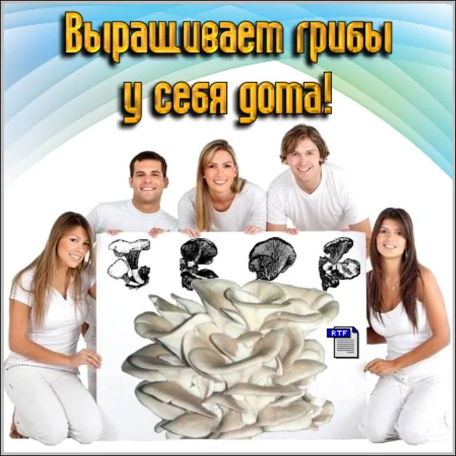 Обложка Выращивание грибов