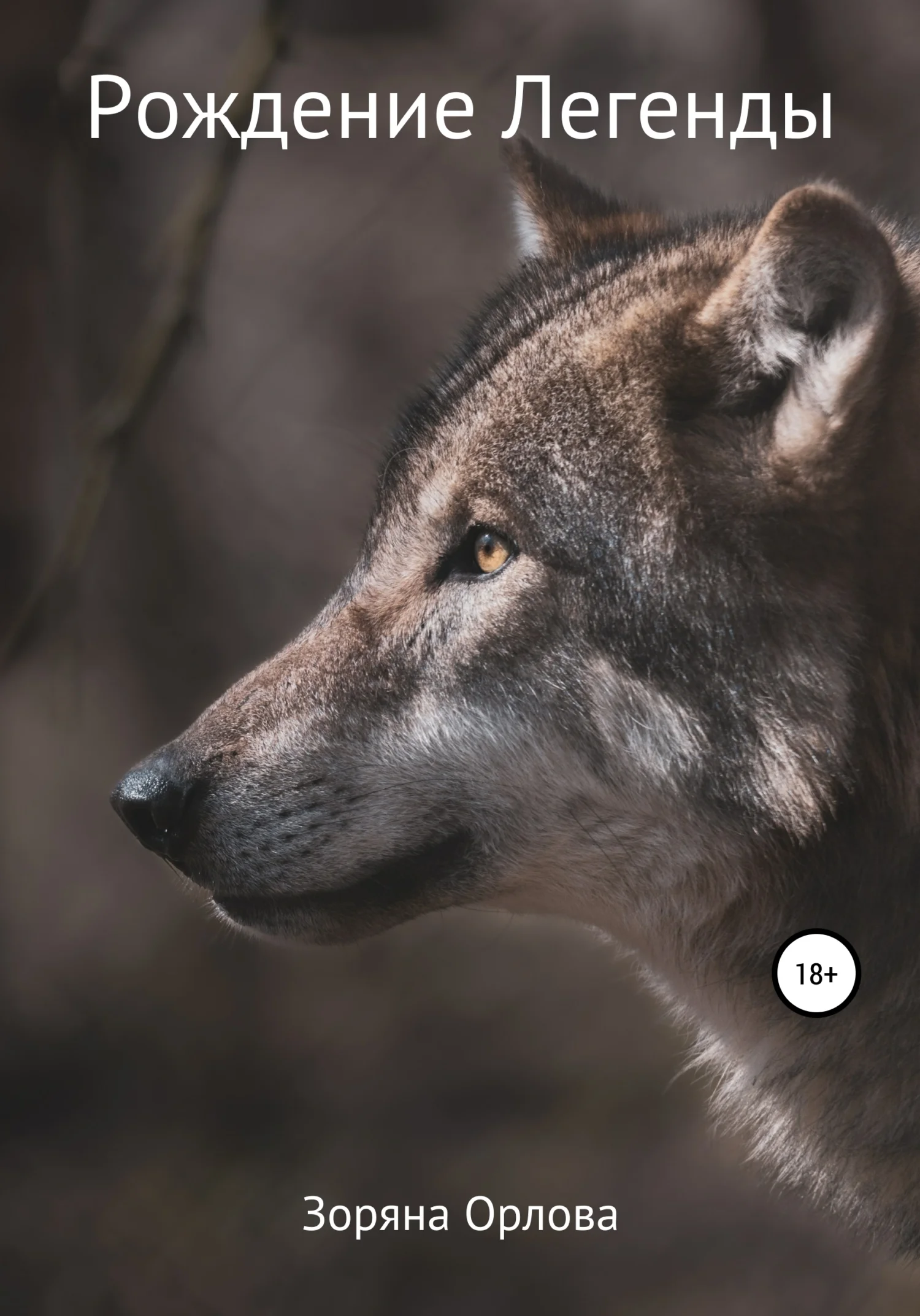 Обложка Рождение Легенды