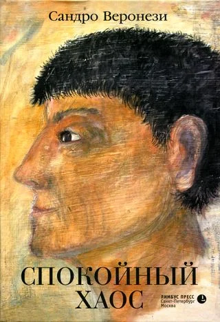 Обложка Спокойный хаос