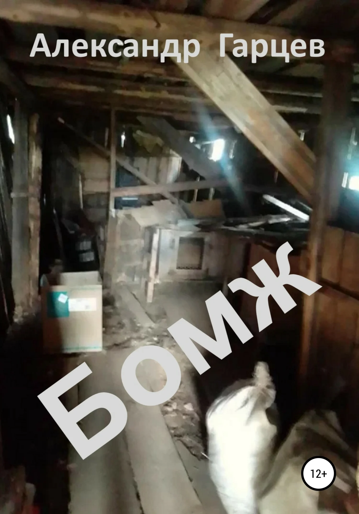 Обложка Бомж